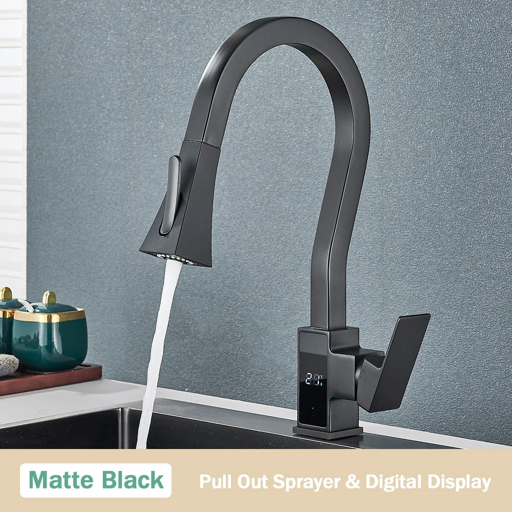 DecorBites™ Black Brass Kitchen Faucet with Digital Temperature Display & Dual Water Sprayer