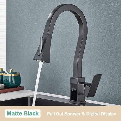 DecorBites™ Black Brass Kitchen Faucet with Digital Temperature Display & Dual Water Sprayer