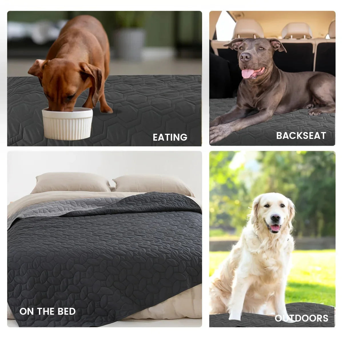 Decobites Pet Blanket Sofa Bed Cover & Mat for Cats Dogs - Waterproof Furniture Protector