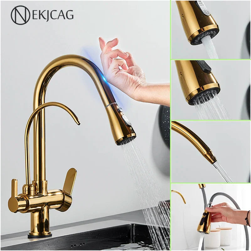 DecorBites™ Gourmet Pull Out Black Gold Kitchen Faucet with Sprayer Mixer Swivel Sink Tap