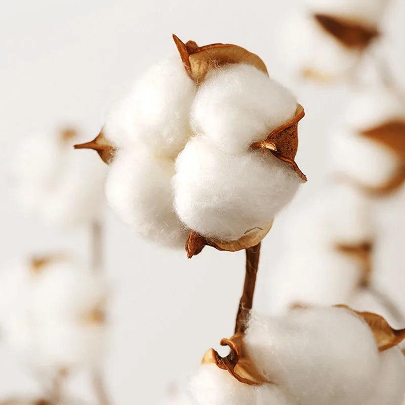 غطاء مرتبة مريح فردي من DecorBites™‎ مخطط من القطن مع شريط مطاطي