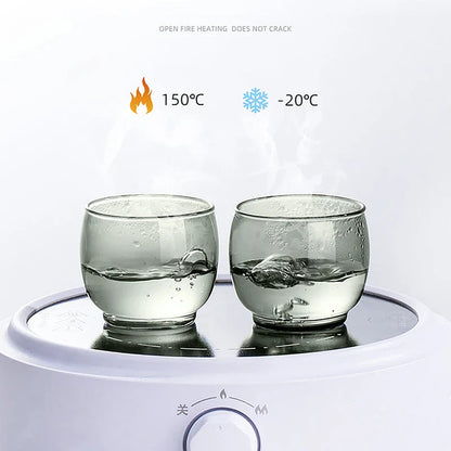 DecorBites™ Glass Tea Cup Set for Chinese Kung Fu Tea, Heat Resistant & Thicken Glass