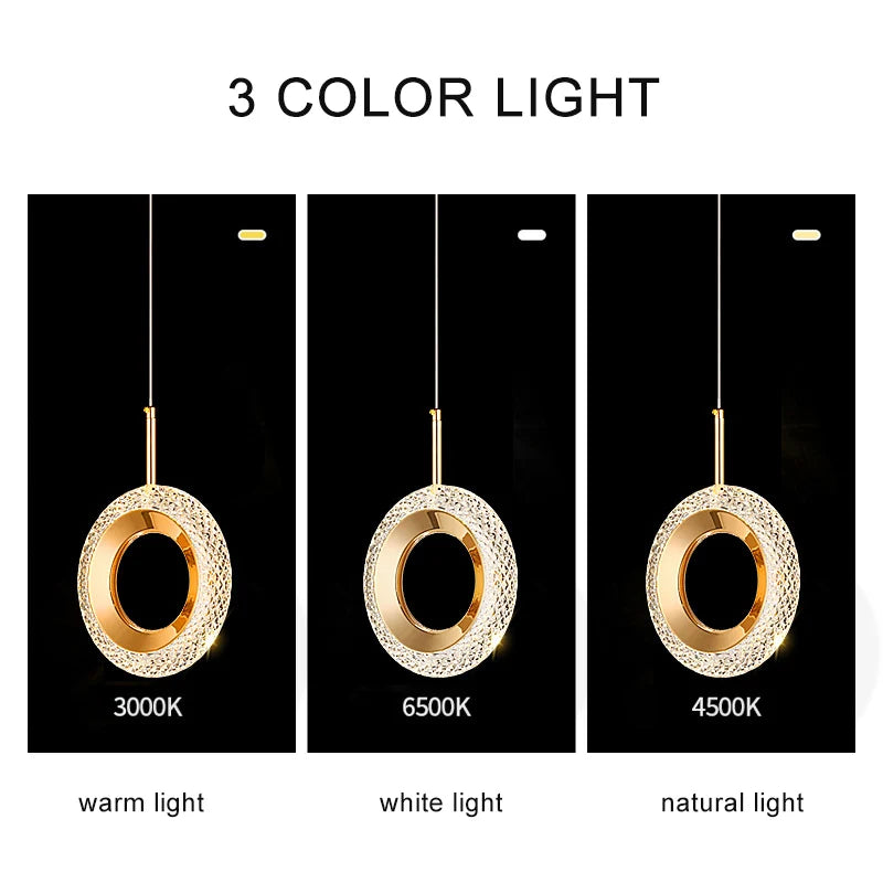 Nordic Ring LED Pendant Light in Iron, Aluminum & Acrylic