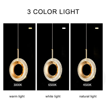 Nordic Ring LED Pendant Light in Iron, Aluminum & Acrylic