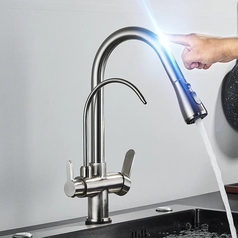 DecorBites™ Gourmet Pull Out Black Gold Kitchen Faucet with Sprayer Mixer Swivel Sink Tap