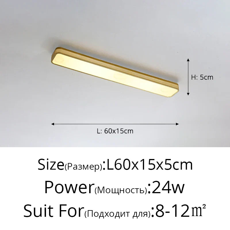Sleek LED Ceiling Chandelier