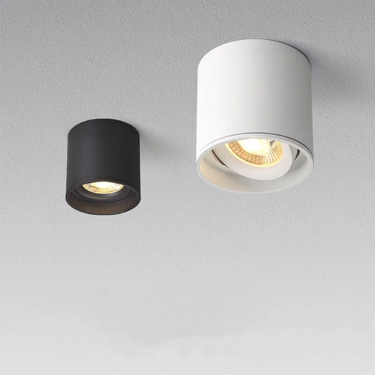 DecorBites™ Aluminum Ceiling Lamp: Cylindrical Surface Mounted Downlight with Adjustable Beam Angle