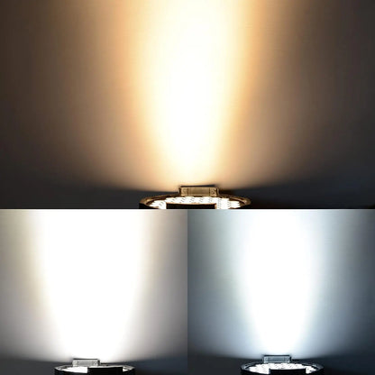Decorbites™ Große Bär Wandwaschende Stroboskoplichter 5000 Lumen mit Stativ für Bühnenauftritte