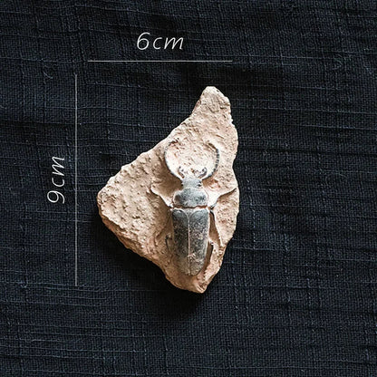 DecorBites™ Fossil Series Art Refrigerator Stickers: Fish Bone Beetle Marine Insect Specimen