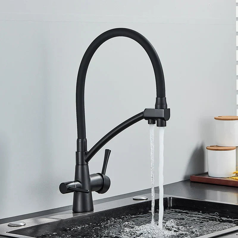 DecorBites™ Dual Spout Kitchen Faucet with Water Purification and Flexible Rotation