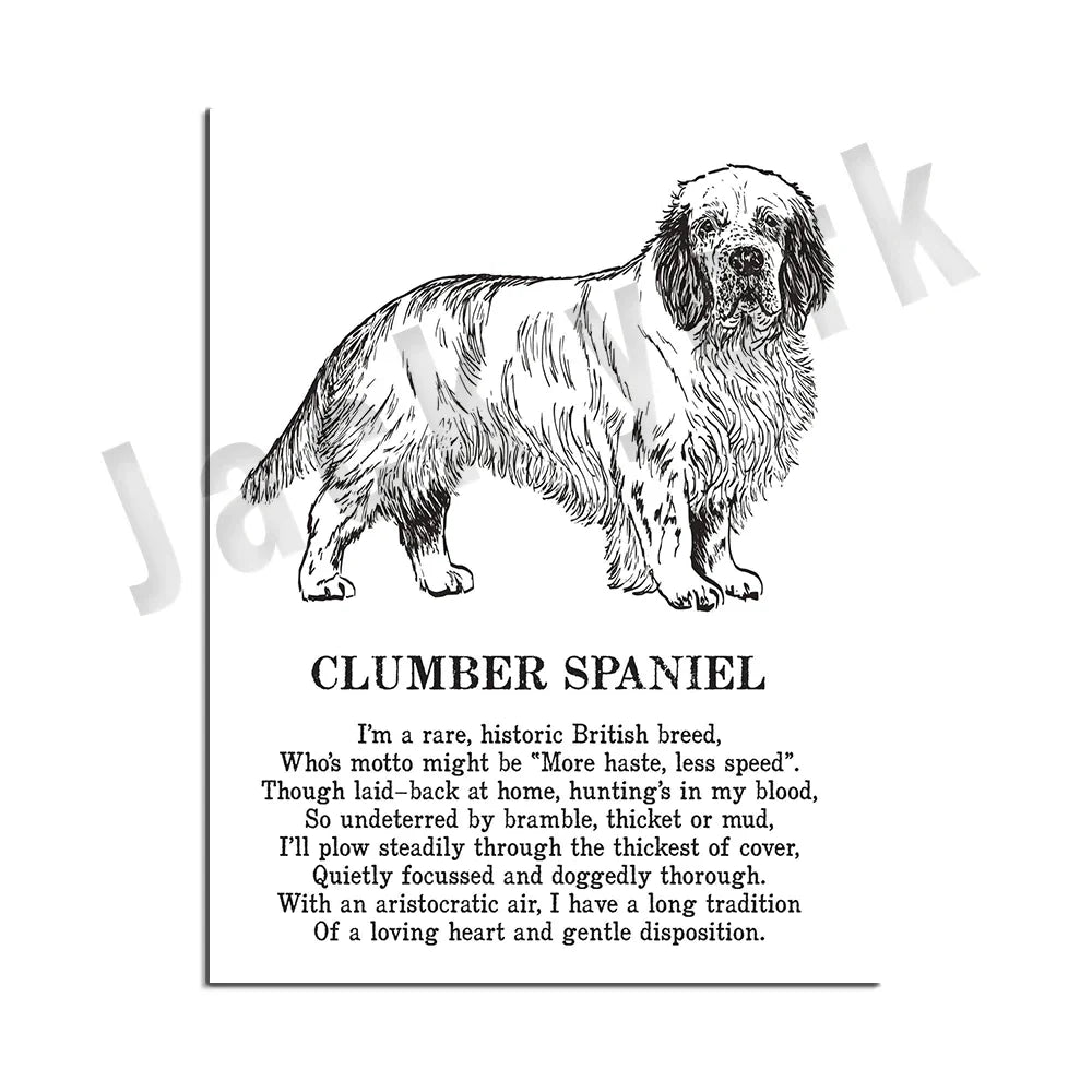 DecorBites™ Dog Breeds Poster: Chinese Crested, Chesapeake Retriever, Brussels Griffon, + More