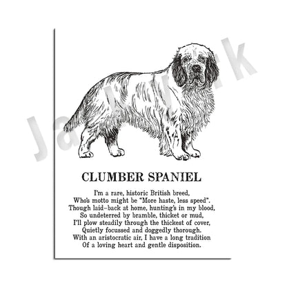 DecorBites™ Dog Breeds Poster: Chinese Crested, Chesapeake Retriever, Brussels Griffon, + More