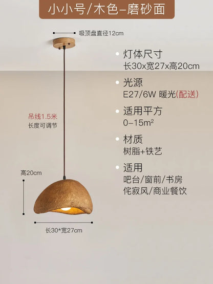 DecorBites™ Japanese Resin Pendant Lights for Dining Room Home Decor - Creative Luminaire Suspendu