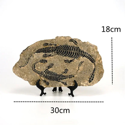 DecorBites™ Dino Fossil Resin Craft: Retro Animal Statue, Indoor Living Room Decor & Gift