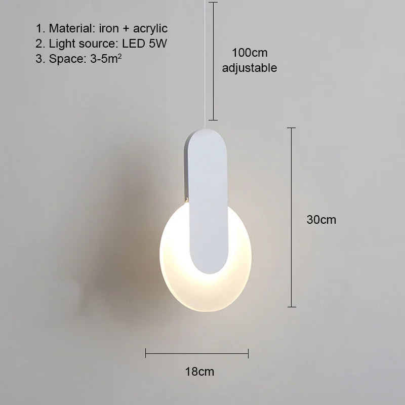 Modern Metal LED Pendant Light in Black or White