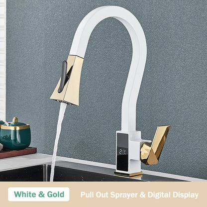 DecorBites™ Black Brass Kitchen Faucet with Digital Temperature Display & Dual Water Sprayer