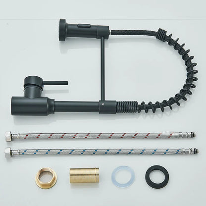 Grifo de cocina flexible DecorBites™ negro con rociador giratorio extraíble y boquilla de chorro giratorio.