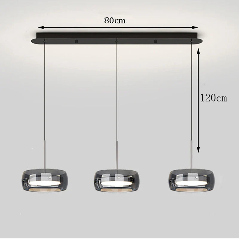 Modern Glass Ring Pendant Light in Iron