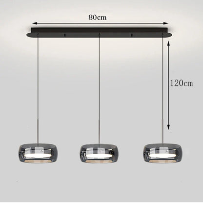Modern Glass Ring Pendant Light in Iron