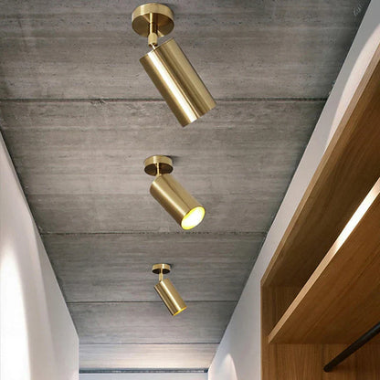 DecorBites™ Gold Long Arm Ceiling Pendant with Rotating LED Spotlights