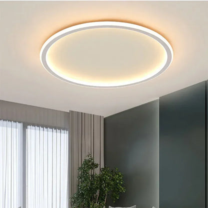 Nordic Minimalist LED Ceiling Light For Bedroom Living Room Aisle Study Room Balcony Circular Remote Control Lighting Chandelier