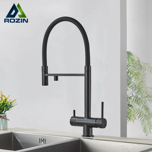 DecorBites™ Black Kitchen Faucet with Pull Down Sprayer and 2-in-1 Purification Technology