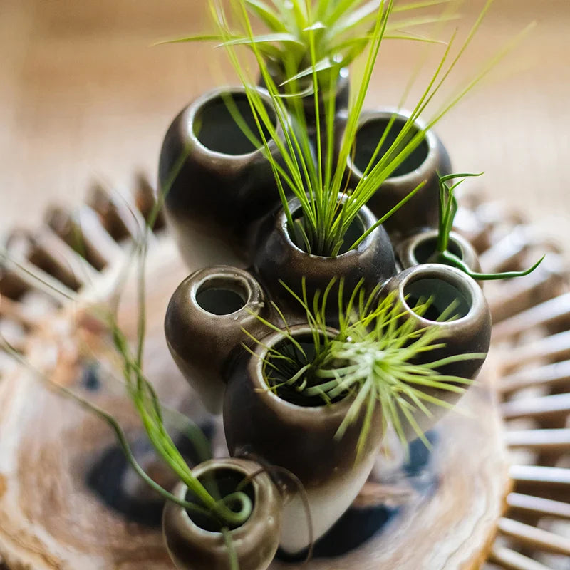 مزهرية معلقة من السيراميك بتصميم أسنان تجريدية من DecorBites™ للديكور المنزلي الفني