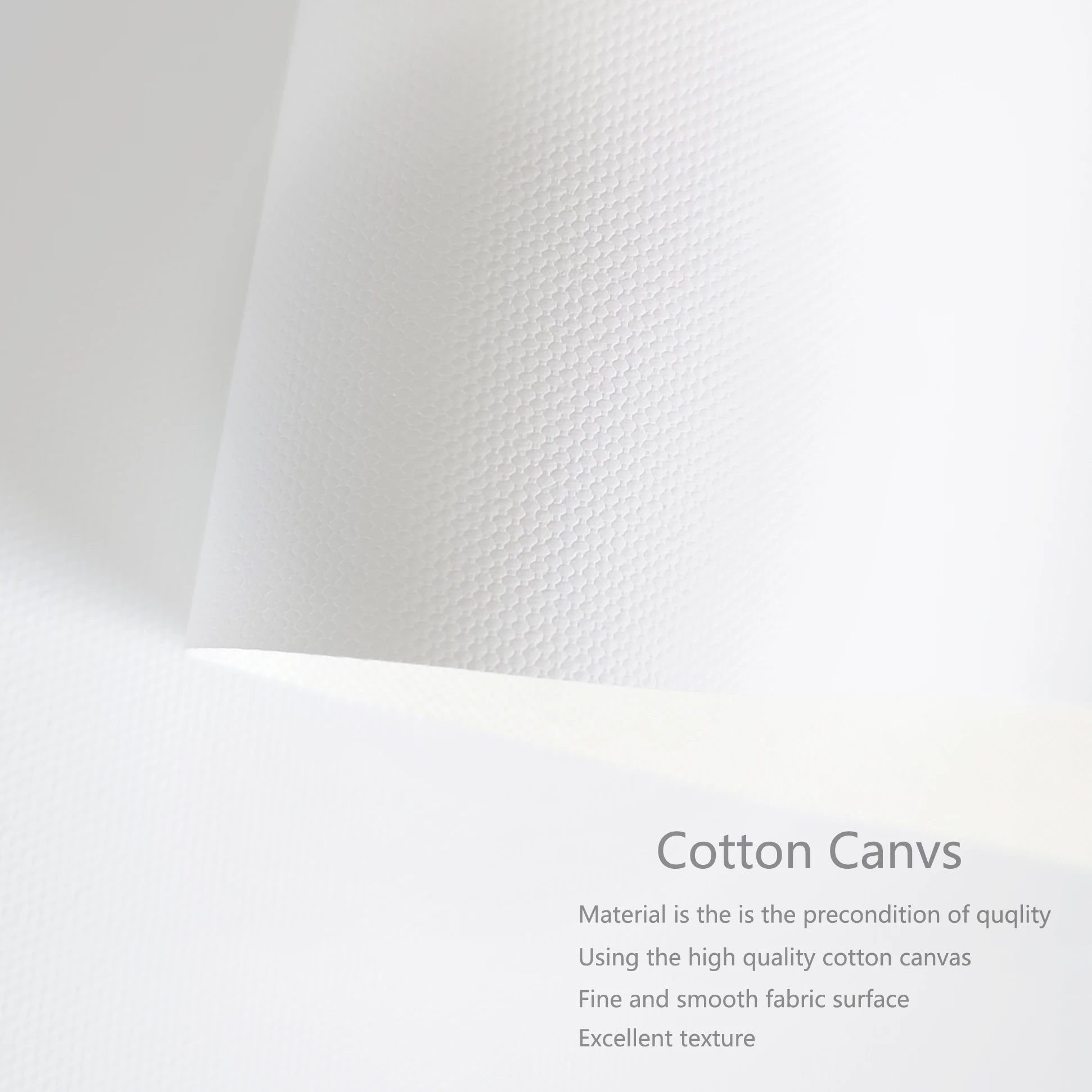 Modern Black & White Canvas Print Decor - Posters