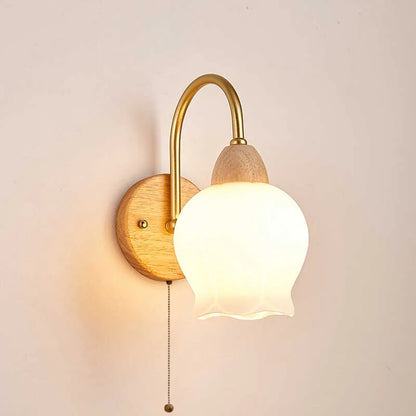 DecorBites™ LED Wall Lamps: Nordic Modern Design for Home Decor, Living Room, Bar, Stair - Pull Chain Switch