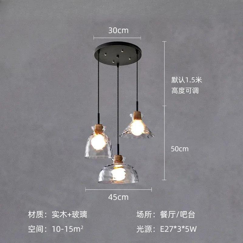 DecorBites™ Clear Glass Pendant Lamp with LED Lights for Home Decor