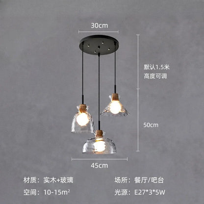 DecorBites™ Clear Glass Pendant Lamp with LED Lights for Home Decor