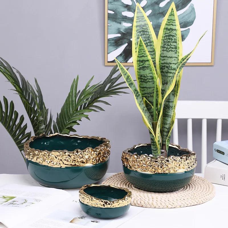 Maceta de flor de suculenta Golden Edge™ Decorbites - Maceta de cerámica para interiores