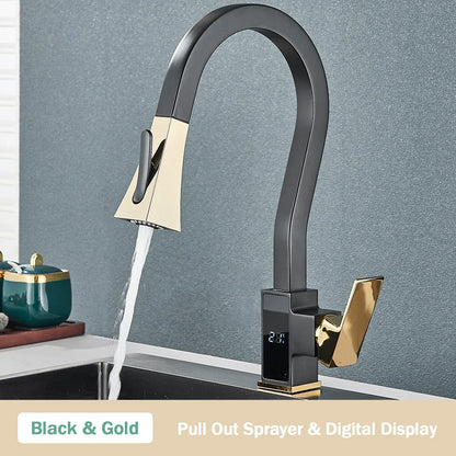 DecorBites™ Black Brass Kitchen Faucet with Digital Temperature Display & Dual Water Sprayer