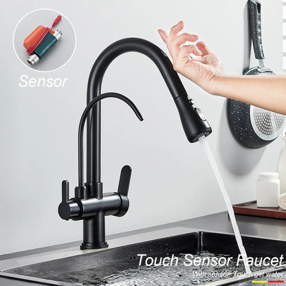 DecorBites™ Dual Handle Kitchen Faucet with Black Touch Sensor and Three Modes