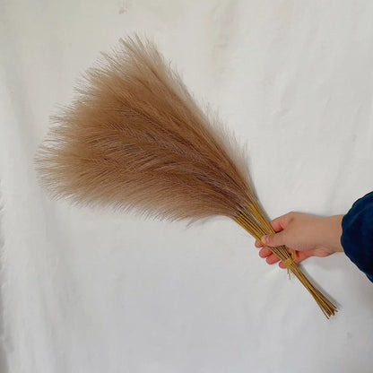 DecorBites™ Fluffy Pampas Grass Boho Decor Pampas Grass.