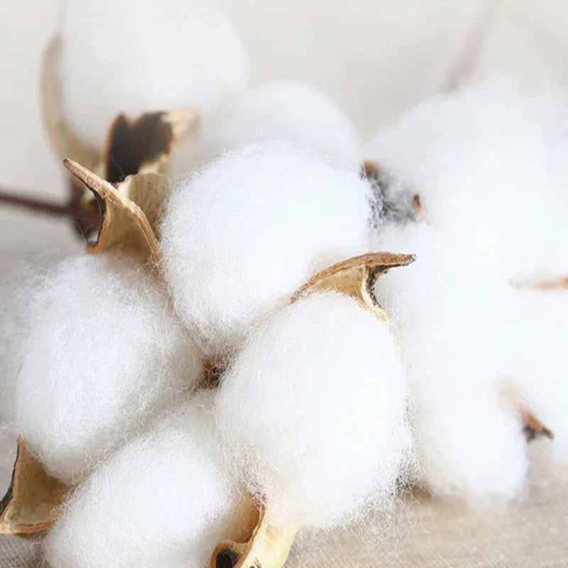 DecorBites™ Brushed Cotton Printed Duvet Cover Set - Single/Double Bed Bedclothes