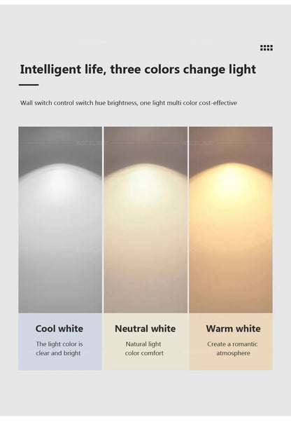 Lámpara Colgante LED Nórdica Diseño Minimalista de Doble Anillo Colores Negro y Blanco Luz Principal para Sala de Estar Dormitorio Comedor Villa