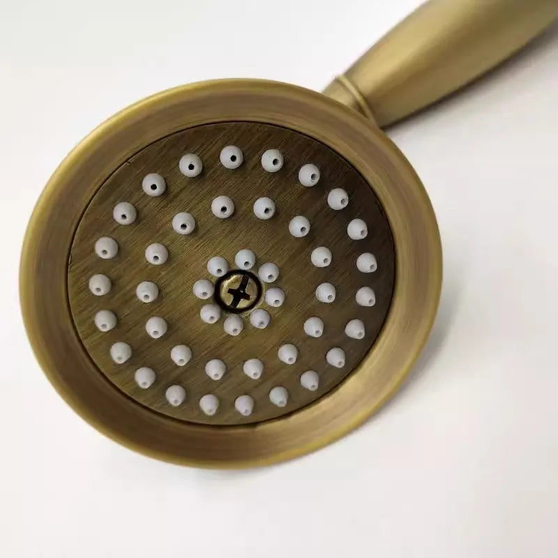 Cabezal de ducha de mano DecorBites™ color oro antiguo con soporte y manguera.