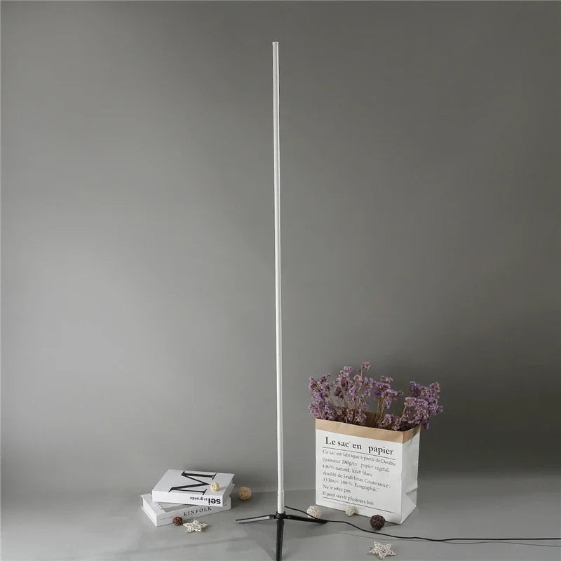 Decorbites™ Gold LED Stehlampe Minimalistisches Modernes Design für Wohnzimmer & Schlafzimmer