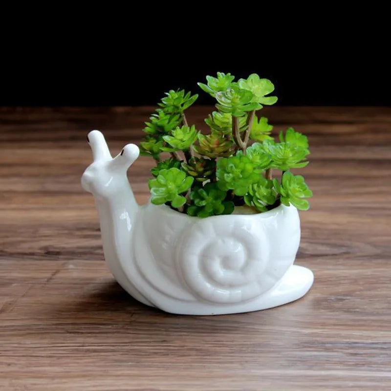 DecorBites™ Cartoon Snail Flower Vase Succulent Pot for Garden Decoration