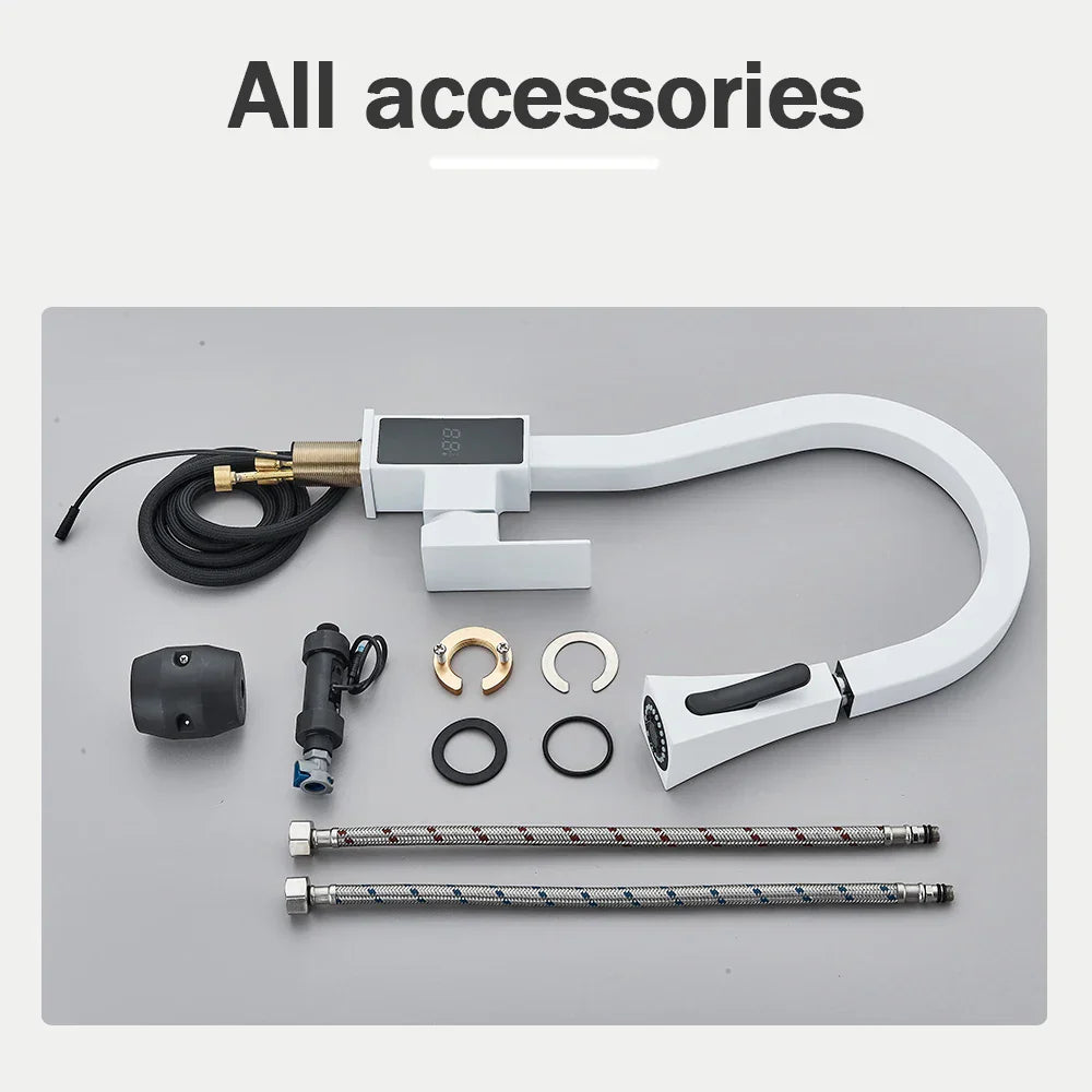 DecorBites™ Black Brass Kitchen Faucet with Digital Temperature Display & Dual Water Sprayer