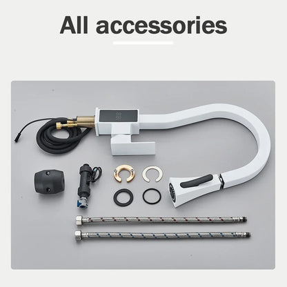 DecorBites™ Black Brass Kitchen Faucet with Digital Temperature Display & Dual Water Sprayer