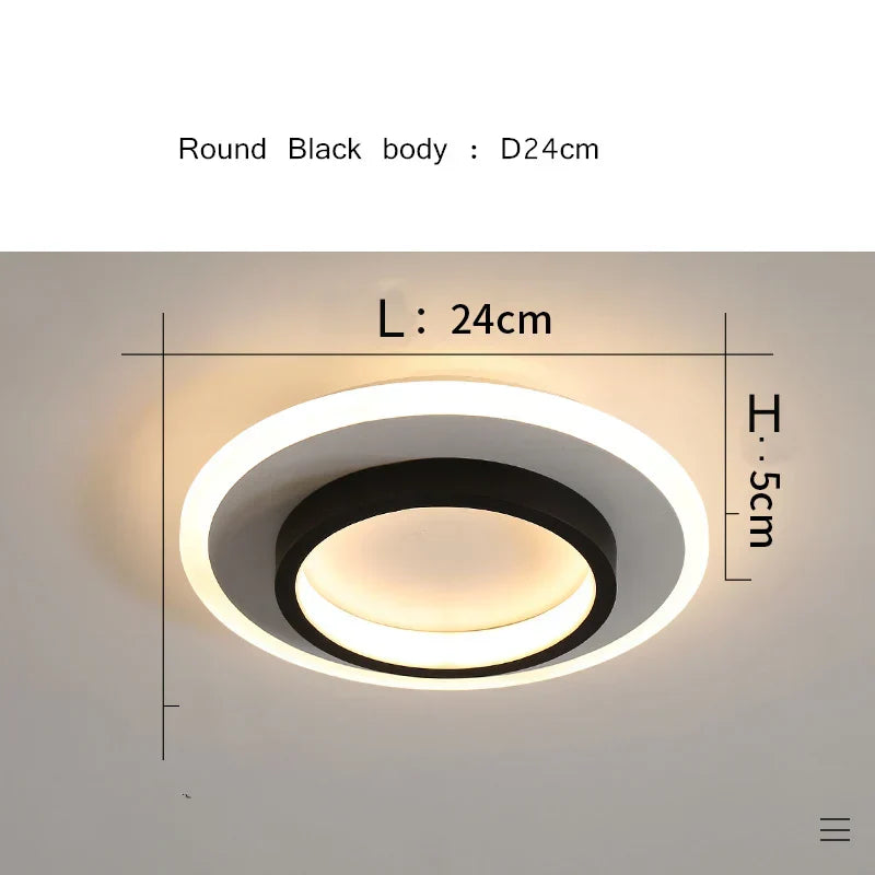 Modern Aisle Ceiling Light