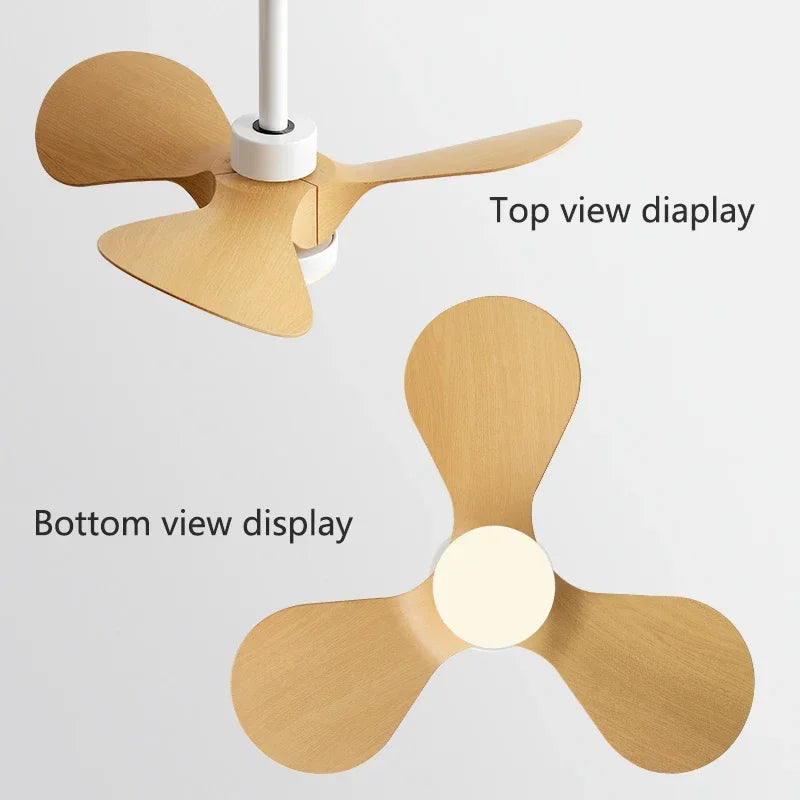 DecorBites™ 24-Inch Mini Ceiling Fan with Lights, Modern Design for Home and Office