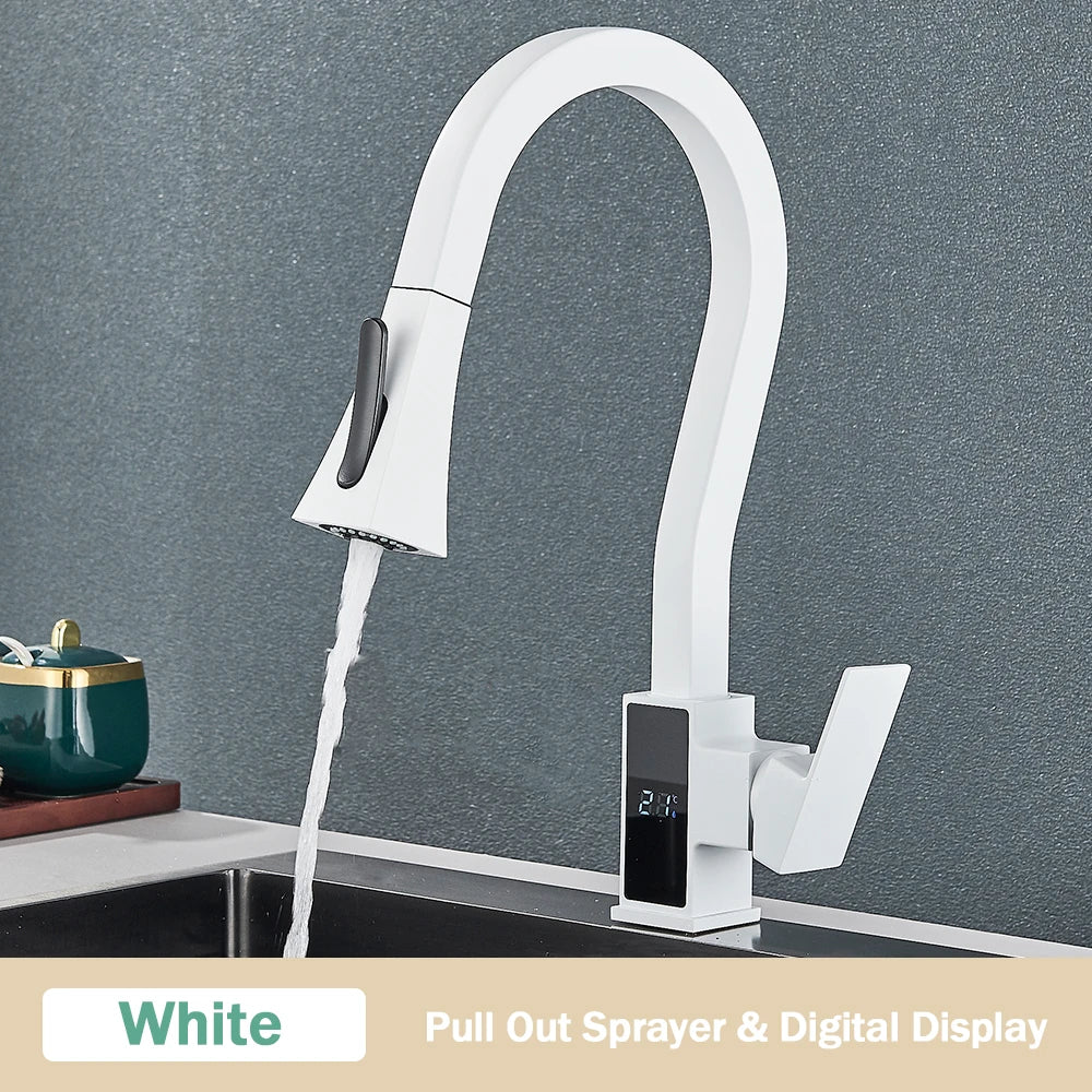 DecorBites™ Black Brass Kitchen Faucet with Digital Temperature Display & Dual Water Sprayer