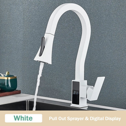 DecorBites™ Black Brass Kitchen Faucet with Digital Temperature Display & Dual Water Sprayer