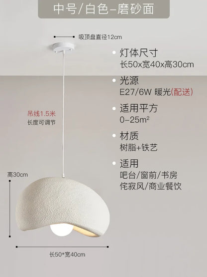 DecorBites™ Japanese Resin Pendant Lights for Dining Room Home Decor - Creative Luminaire Suspendu