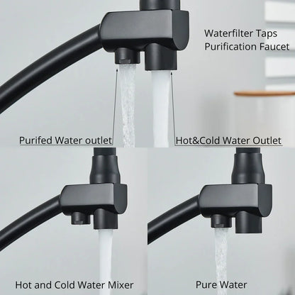 DecorBites™ Dual Spout Kitchen Faucet with Water Purification and Flexible Rotation