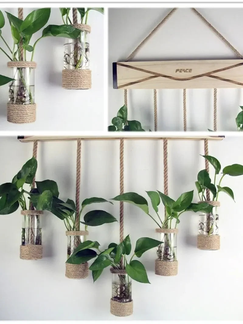 DecorBites™ Glass Planter Vase with Wooden Stand for Wall Hanging Display