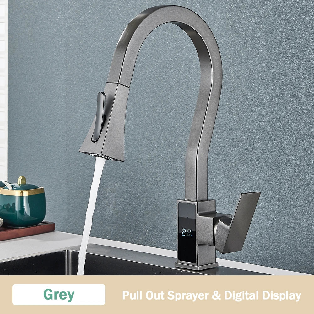 DecorBites™ Black Brass Kitchen Faucet with Digital Temperature Display & Dual Water Sprayer